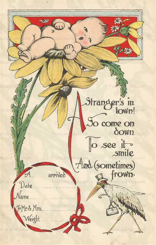 hb100-Stork Baby Birth Announcement Fantasy Stork Bird and Baby Sunflower