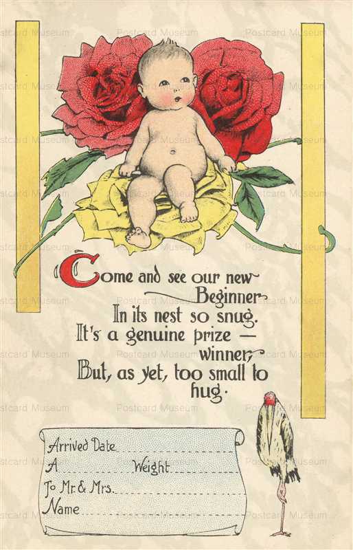 hb102-Stork Baby Birth Announcement Fantasy Stork Bird and Baby Rose