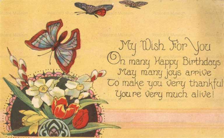 hb170-Butterflies and Flowers