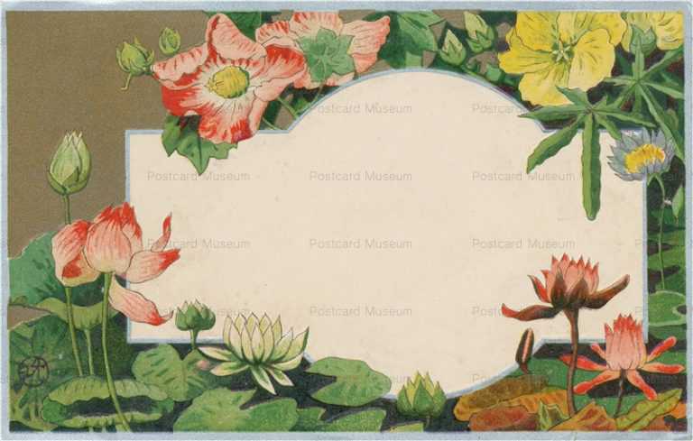 kfg353-蓮とすみれ