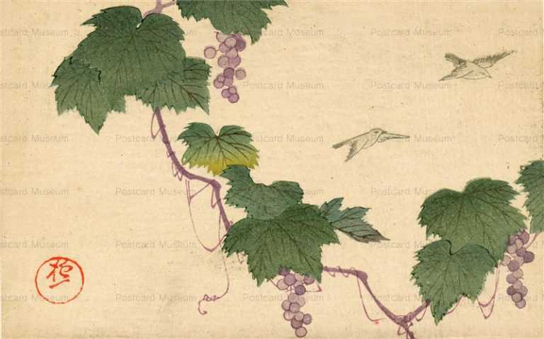 kfg397-酒井抱一 葡萄に鳥