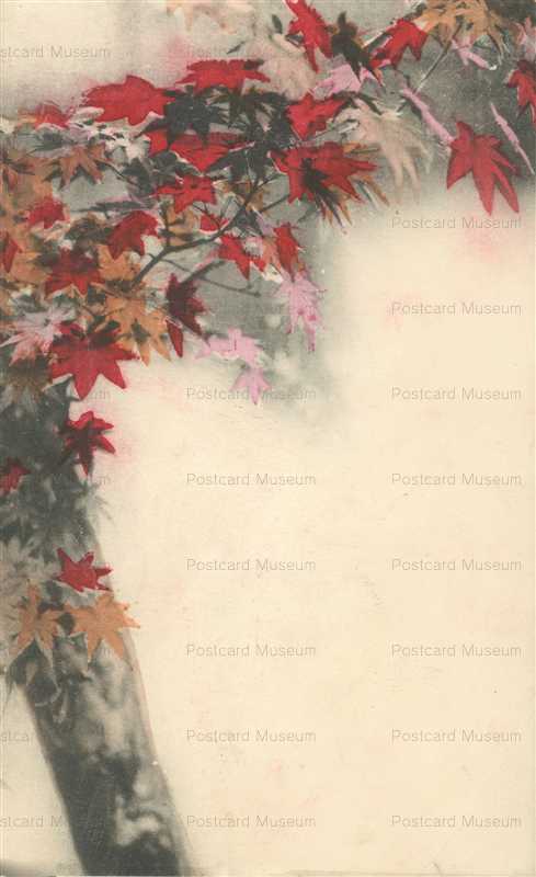 kfg475-紅葉のモミジ