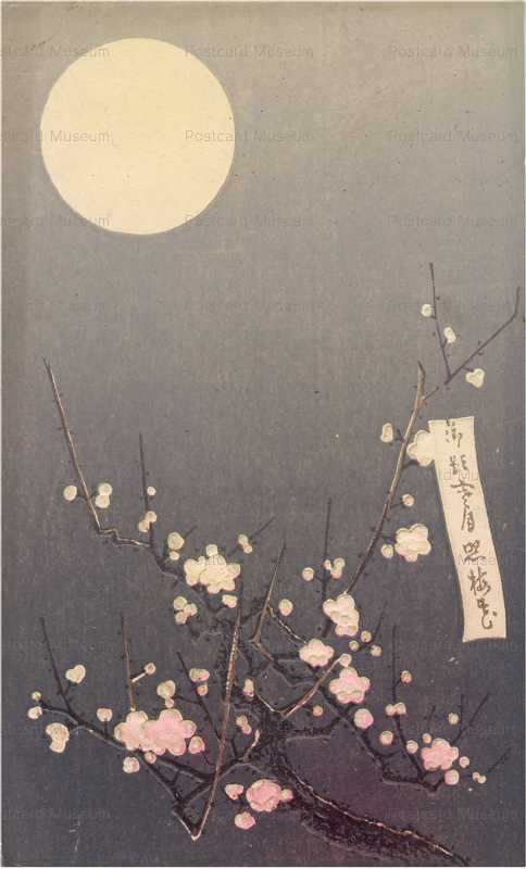 kfg540-満月の夜 梅の花
