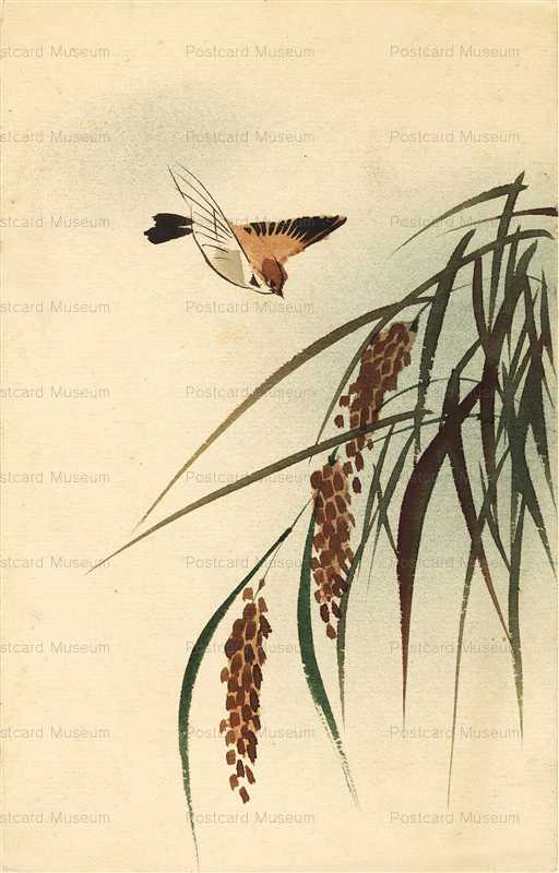 kfg855-雀 稲 | 絵葉書資料館
