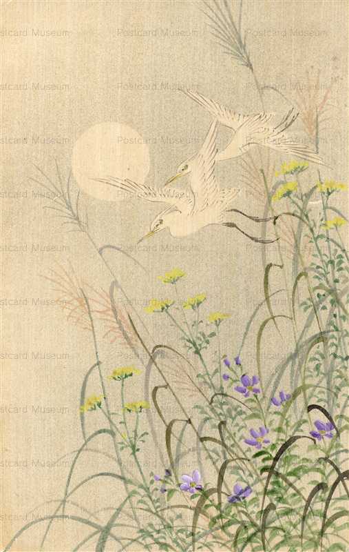 kfg880-白鷺 すすき 秋の月 花