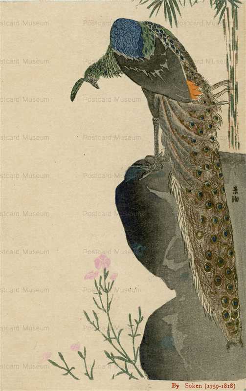 kfg890-孔雀 Soken 1759-1818