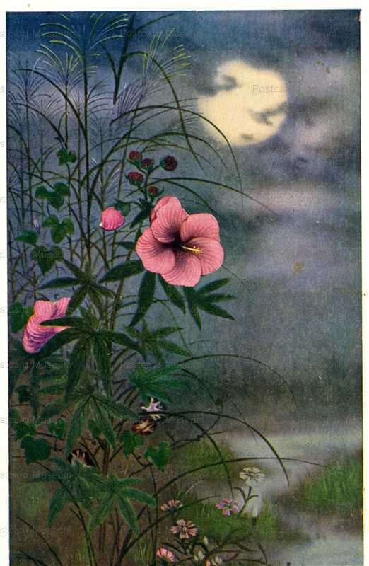 kfg921-月 すすき