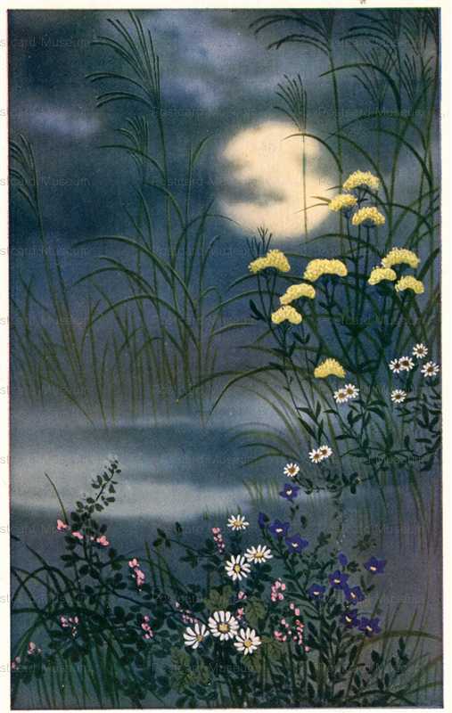 kfg922-月 女郎花 白菊