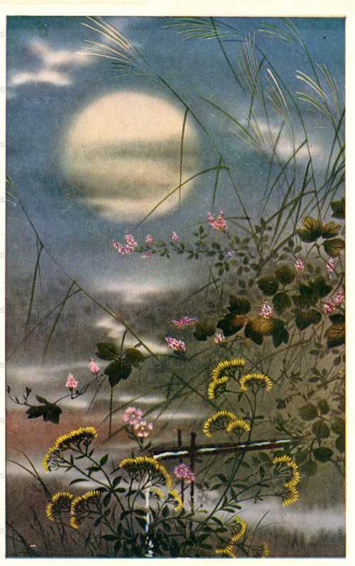 kfg926-月 女郎花 すすき