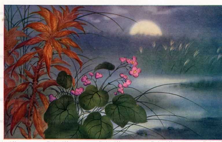 kfg927-月 ケイトウ