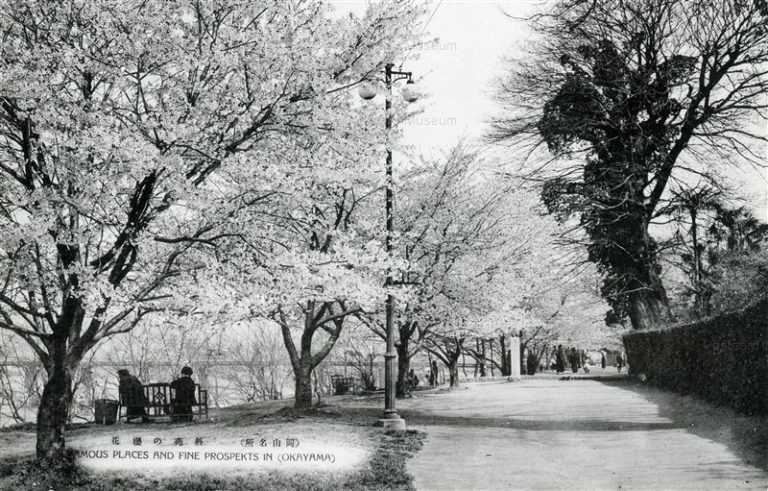 ok140-Gaien Okayama 外苑の桜花 岡山名所