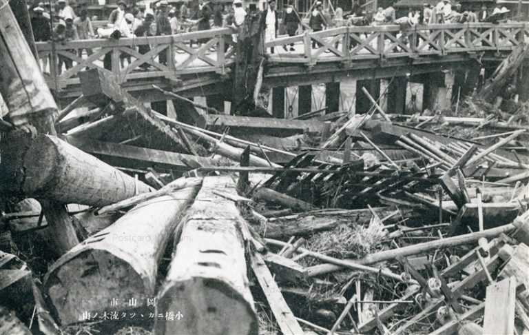 ok960-Driftwood 小橋ニカカッタ流木ノ山 岡山市