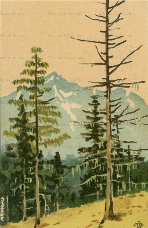 ot210-大下藤次郎 森と山岳