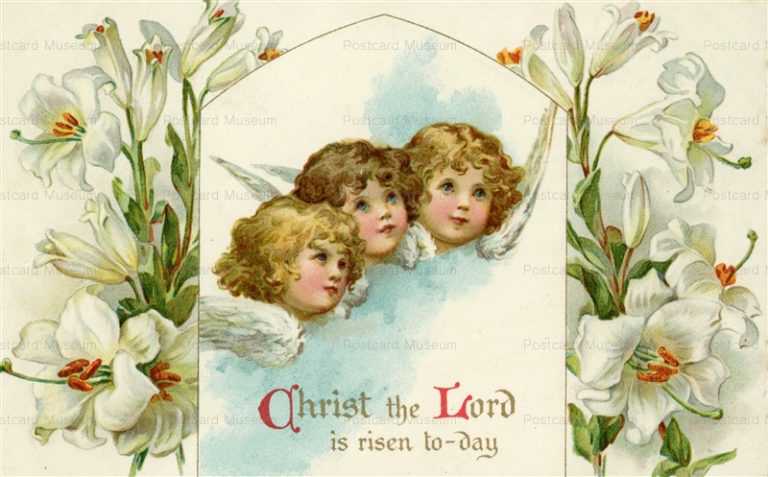 xm635-3Angels and White Flowers