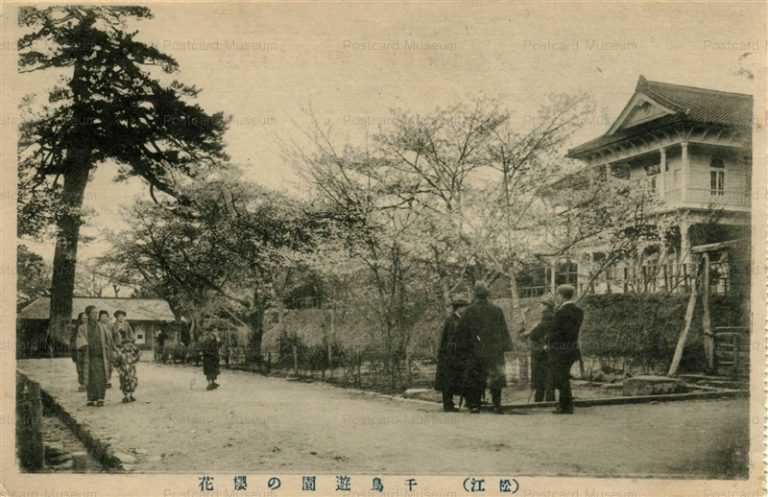 cim710-Chidoriyuen Matsue 千鳥遊園の桜花