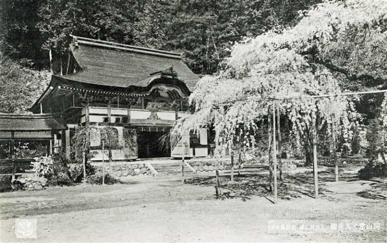 kob531-Tanba Yamakuni Jyoshokoji Temple 852 開山堂と九重櫻 丹波山國常照皇寺