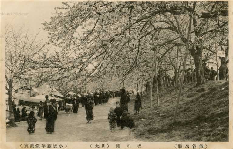 ls880-Kumagaya 堤の桜 其九 熊谷名勝