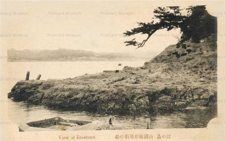 la470-Enoshima 江の島 西浦海岸琴引の松