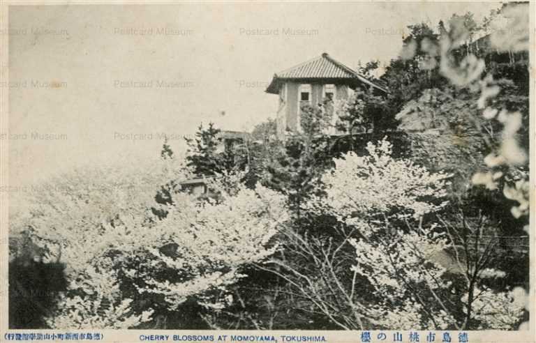 xt210-Tokushima Sakura 桃山の櫻 徳島市