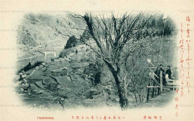 zn1427-Tsukigase 一目萬本臺より尾山を望む 月瀬梅景
