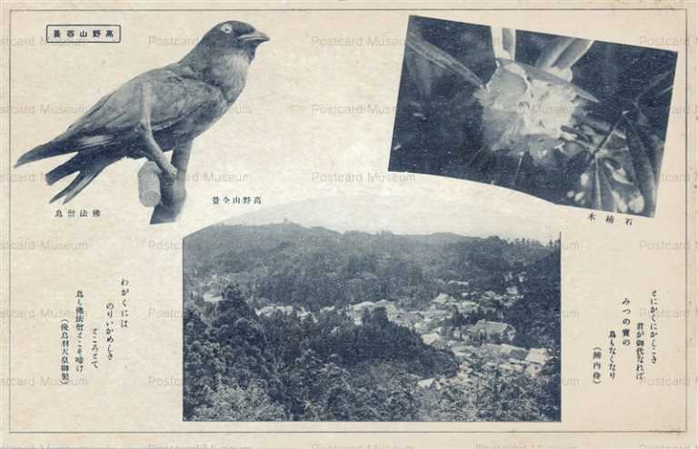 zy505-Koyasan 高野山百景 高野山全景と仏法僧鳥