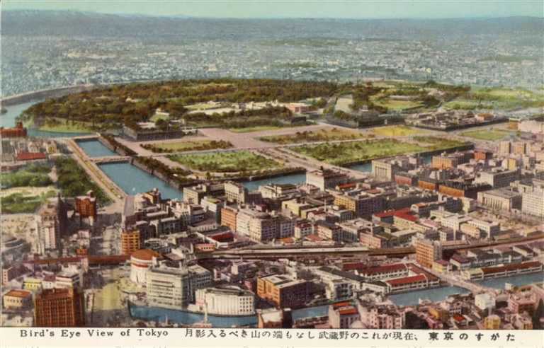 t295-Bird's Eye View Tokyo 東京鳥瞰