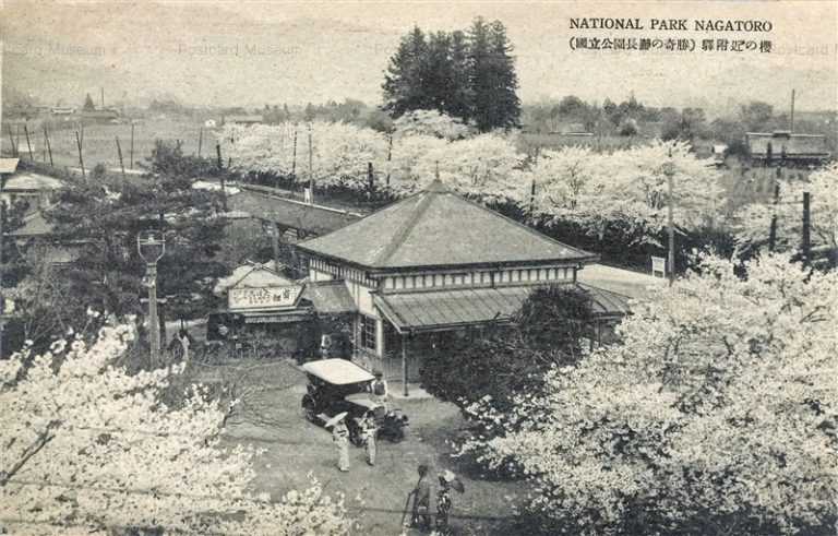 ls605-National Park Nagatoro 国立公園長瀞の奇勝 駅付近の櫻