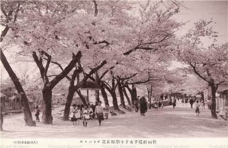 er855-Yokote Park Girl School 横手女子小学校前 花のトンネル 秋田