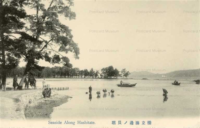 kfb799-Seaside Hashitate 橋立海辺の貝堀