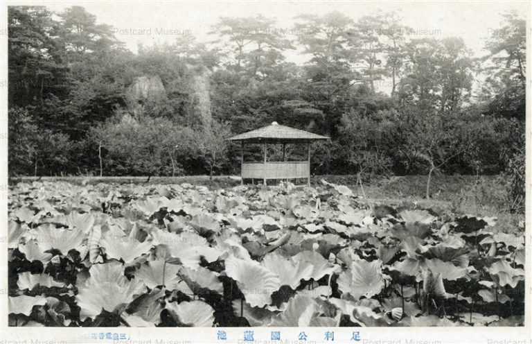 lt1405-Ashikaga Park 足利公園蓮池