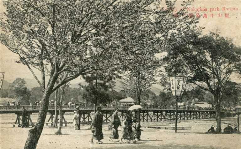 kob110-Cherry Of Nakajima Park Ranzan 嵐山中島公園ノ櫻