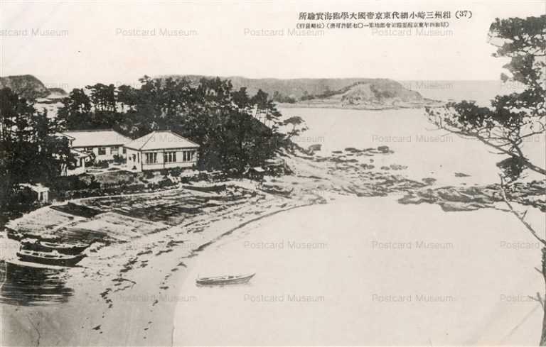 lc624-Misaki 37 相州三崎小網代東京帝國大學實験所