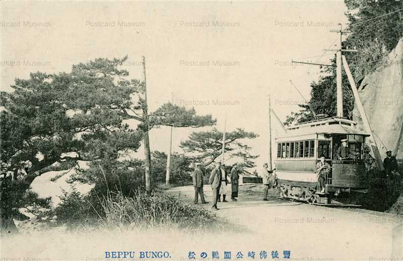 話題の人気 Tsurunomatsu oi973-Hotokezaki Beppu 豊後仏崎公園鶴の松 Bungo 絵葉書