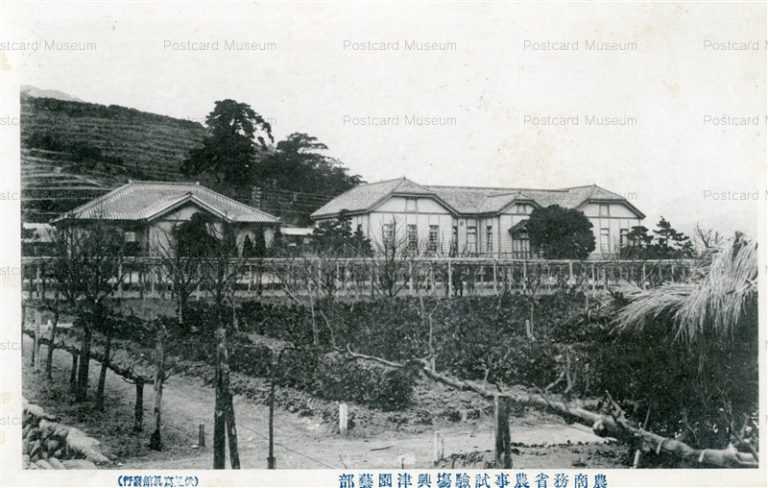 uc278-Okitsu Agricultural Experiment Station 農商務省 農事試驗塲 興津園藝部