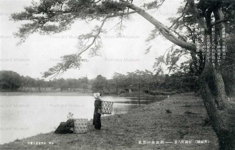 ll905-Kashiwabaraike Ishioka Ibaraki 柏原池の靑嵐 石岡町八景 茨城