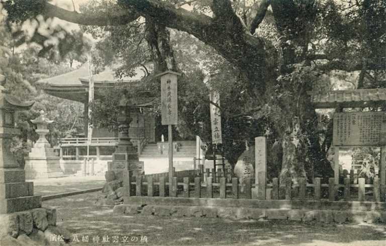 uc1705-Hachiman jinja 八幡神社雲立の楠