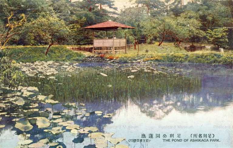 lt1400-Ashikaga Park 足利公園蓮池 足利名所 栃木