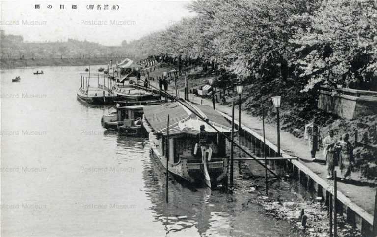 ll820-Sakurabawa Tsuchiura Ibaraki 櫻川の櫻 土浦