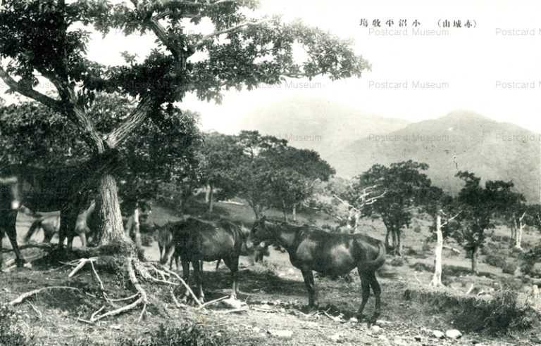 lg405-Akagiyama 小沼平牧場 赤城山