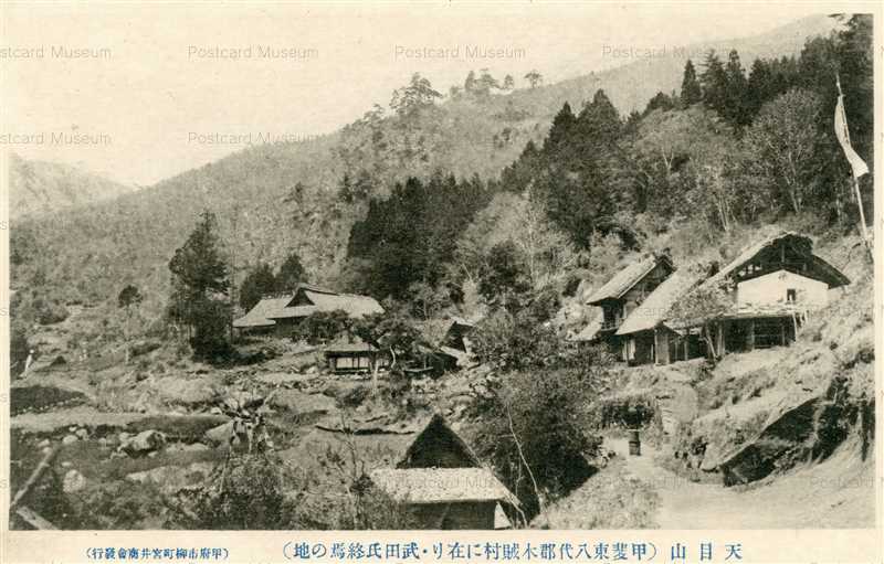古書　萬葉植物考 豊田八十代著 萬葉植物考 一冊(豊田八十代) / あんず古書店 / 古本、中古本