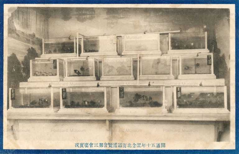 hba429-Hokkaido Exposition 開道五十年記念北海道博覧曾第三曾塲實況