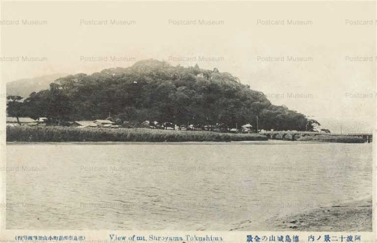xt315-View of mt.Shroyama Tokushima 徳島城山の全景 阿波十二景ノ内