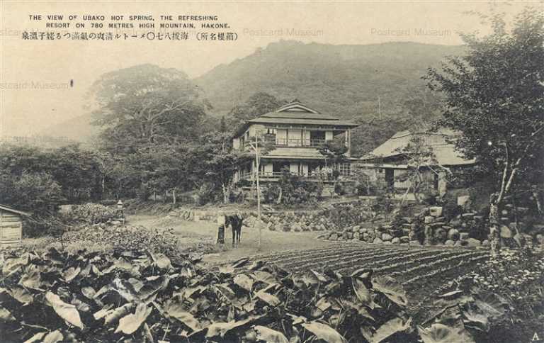 lh635-Ubako Hot Spring Hakone 海抜八七０メートル清爽の満つる姥子温泉 箱根名所
