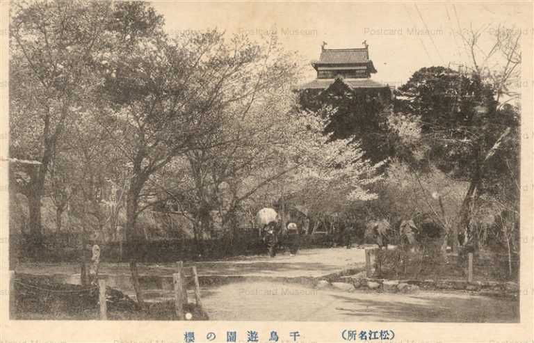 cim750-Chidori Park Matsue 松江名所 千鳥遊園の桜