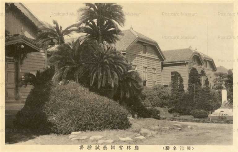 uc268-Okitsu Agriculture 農林省園芸試験場 興津名勝