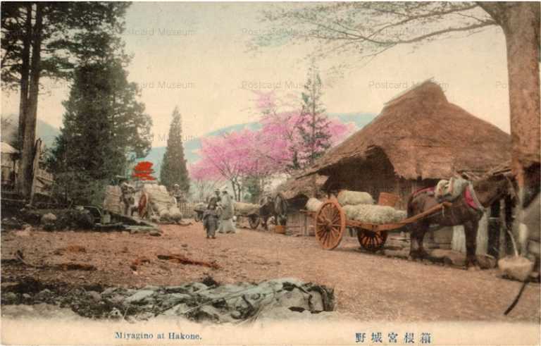 lh840-Hakone Miyagino 箱根宮城野　