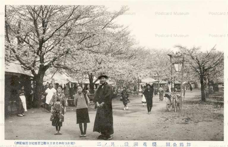 kfb540-Maizuru Park Cherry Blossom 舞鶴公園 桜花爛漫 昭和三年