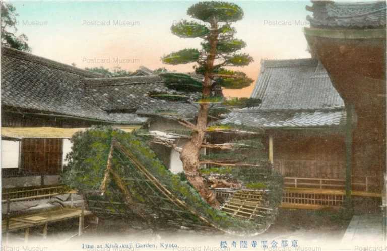 ko552-Pine at Kinkakuji Garden,Kyoto 京都金閣寺陸舟松