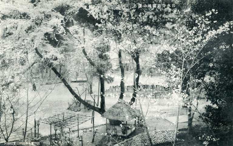 uc1815-Gansuiji park 岩水寺遊園地の櫻