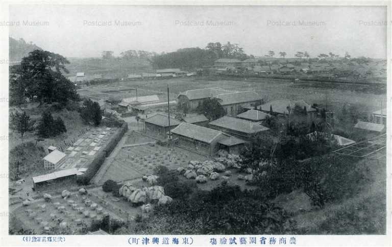 uc277-Okitsu Horticulture Examination Site 農商務省園芸試験場 東海道興津町